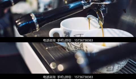 助孕服务